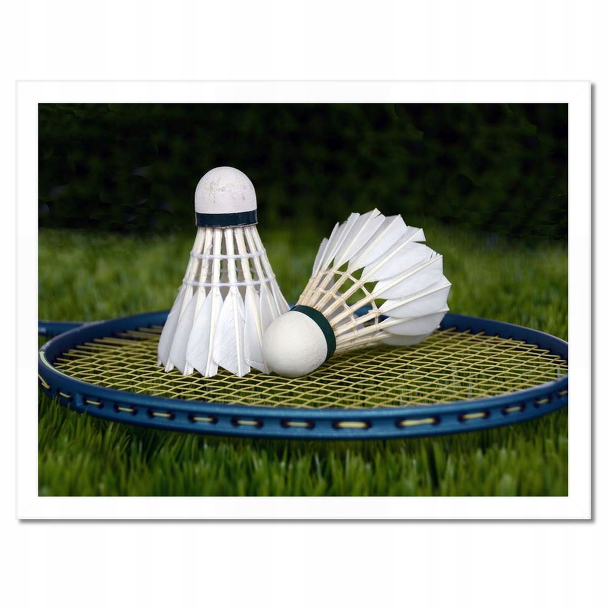 Plakáty v rámu 40x30 Paletky Lotky Badminton