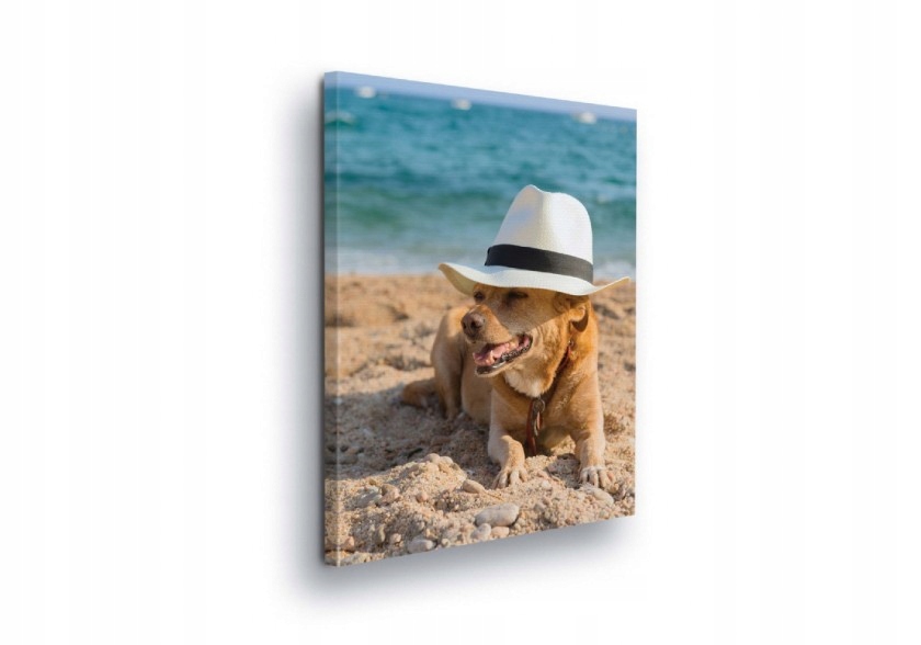Obraz 60x80 Pes v klobouku na pláži Letní portrét zvířete na pozadí moře