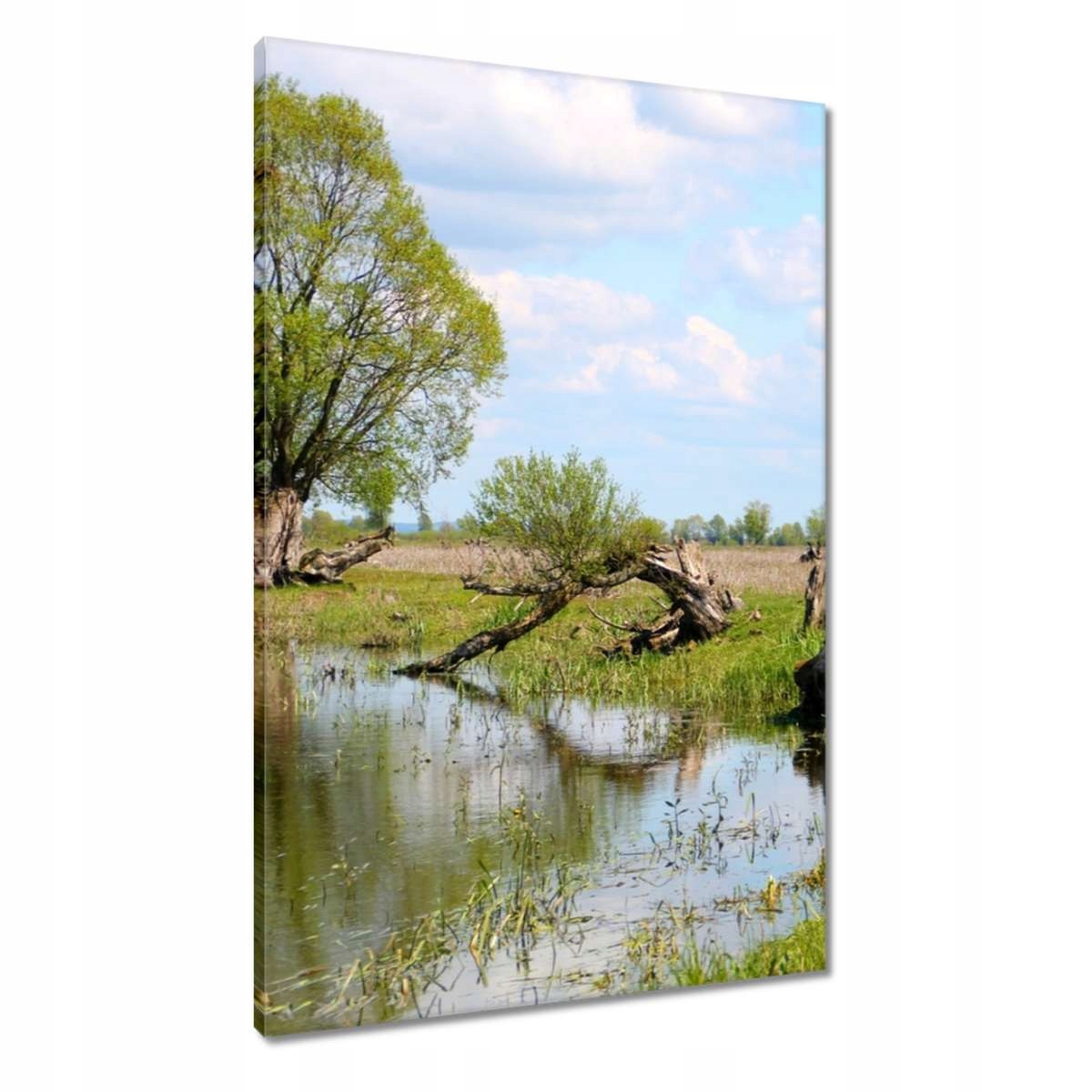 Obrazy 60x90 Warta