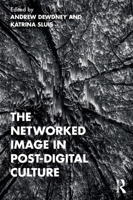 The Networked Image in Post-Digital Culture group