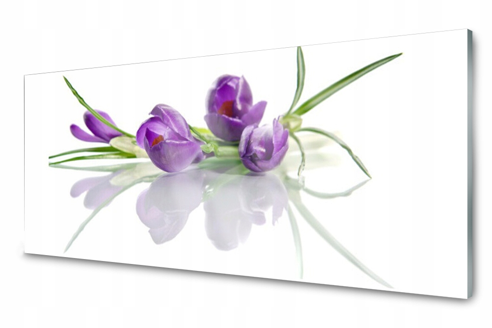 Sklenený panel do kuchyne Kvety Rastlina 125x50