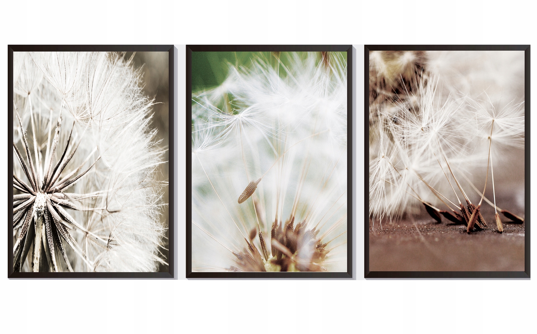 OBRAZY PLAKATY ZESTAW 3 SZTUKI A4 DMUCHAWCE BOHO