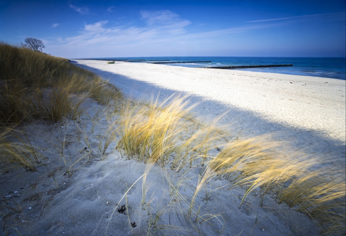 

Fototapeta Flizelinowa Morska plaża - 104x70