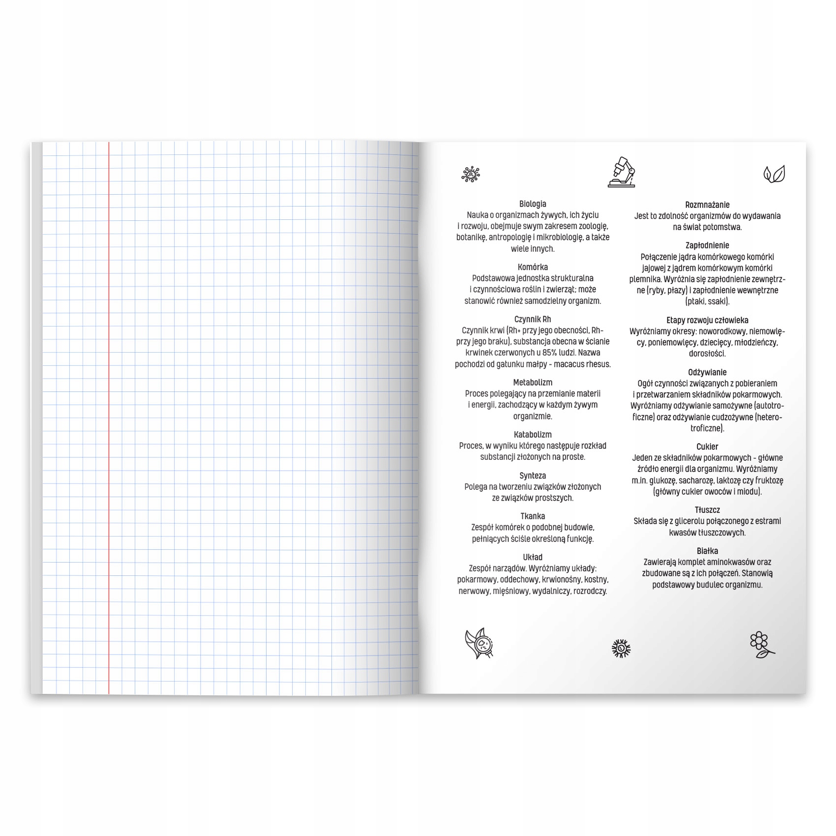 KOMPLET ZESZYTÓW TEMATYCZNYCH PRZEDMIOTOWYCH ZE ŚCIĄGĄ 10 SZTUK HERLITZ Marka Herlitz