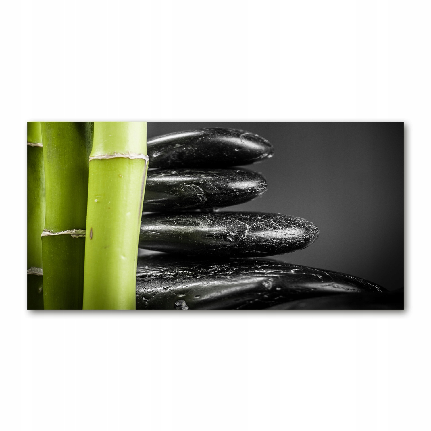 

Foto obraz duży akrylowy Bambus zdjęcie 140x70 cm