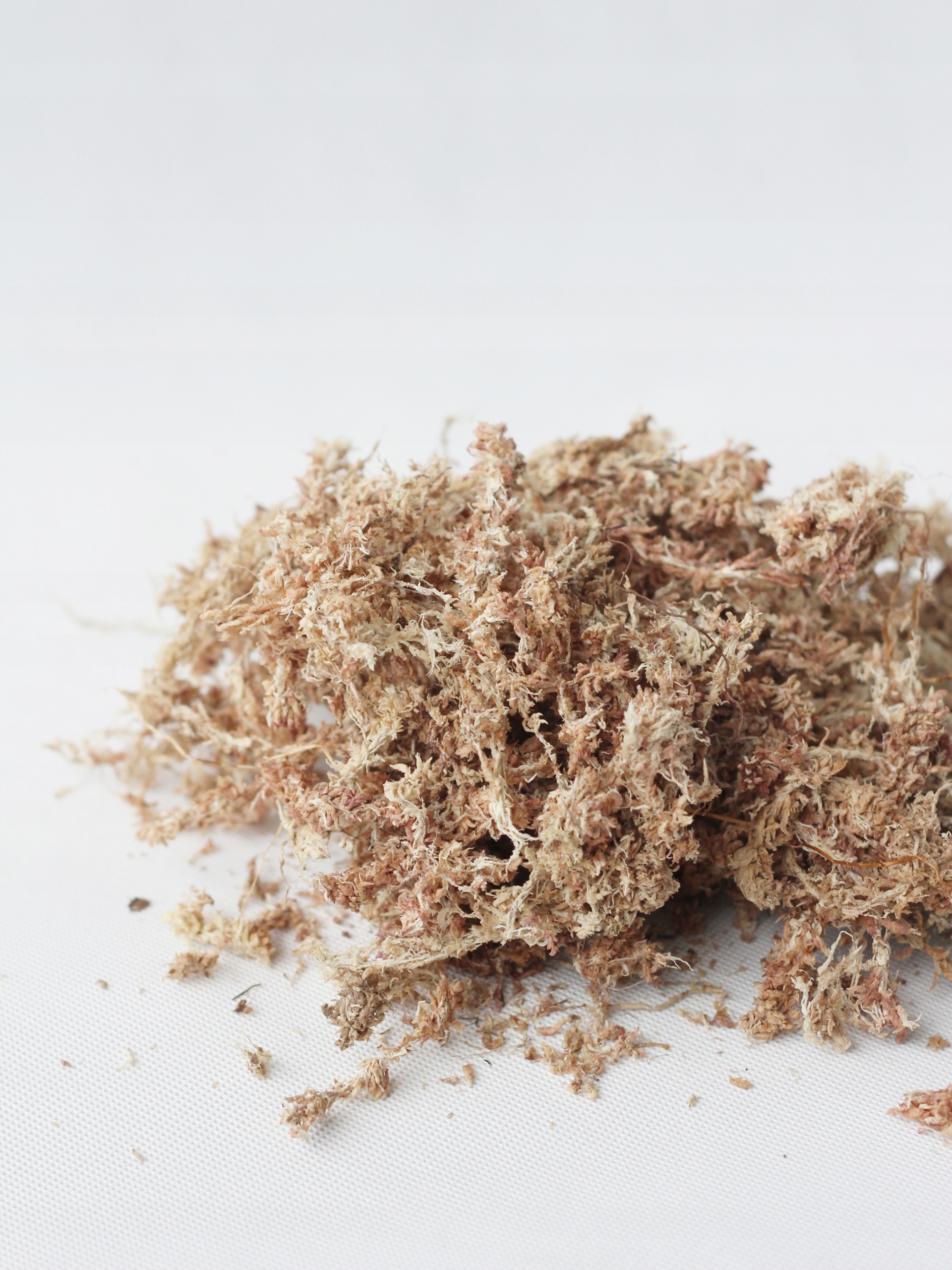 

Mech torfowiec sphagnum 200g