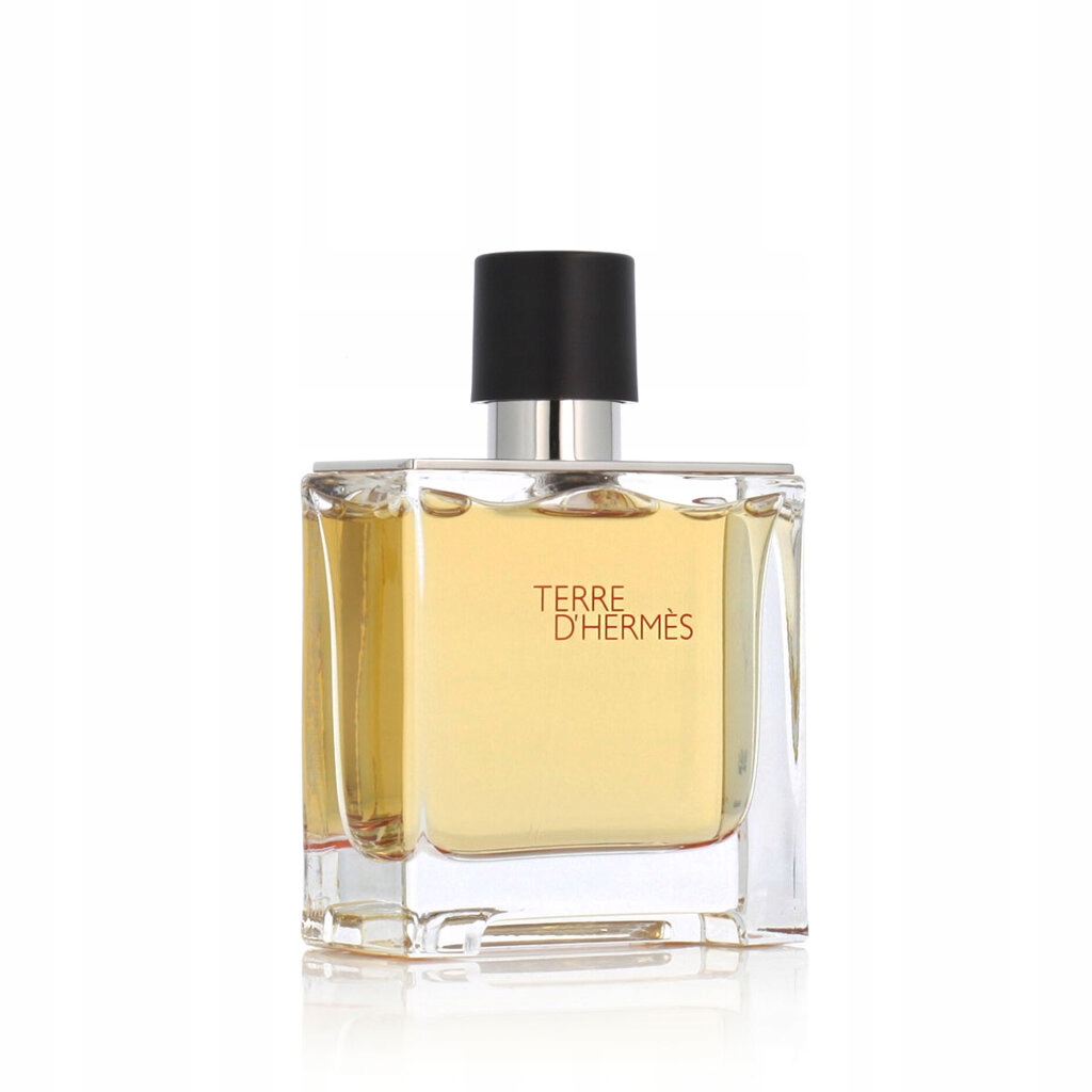 Hermès Terre D'Hermès Parfém 75 ml M