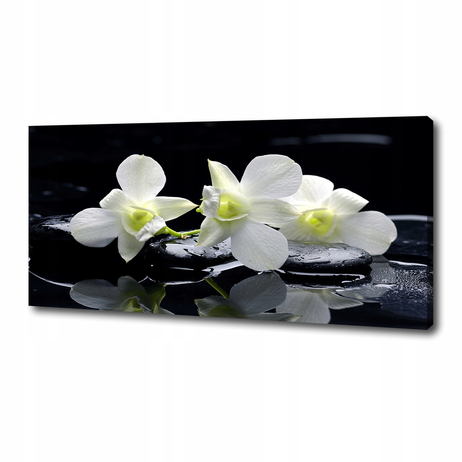 

Foto obraz canvas na ścianę Orchidea 125x50 cm