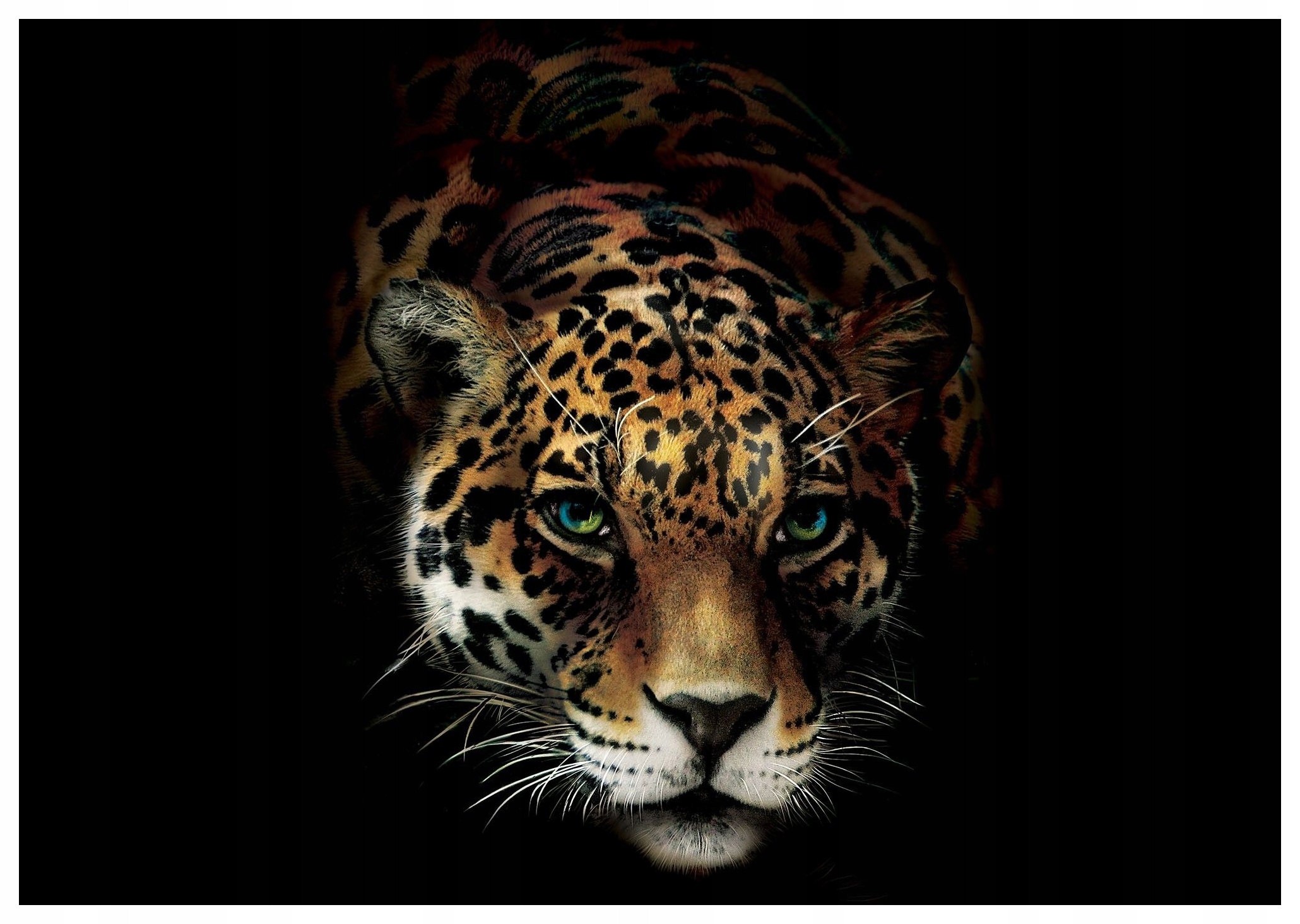 Vliesová fototapeta Jaguar na černém pozadí dravá kočka 368x280 lepidlo