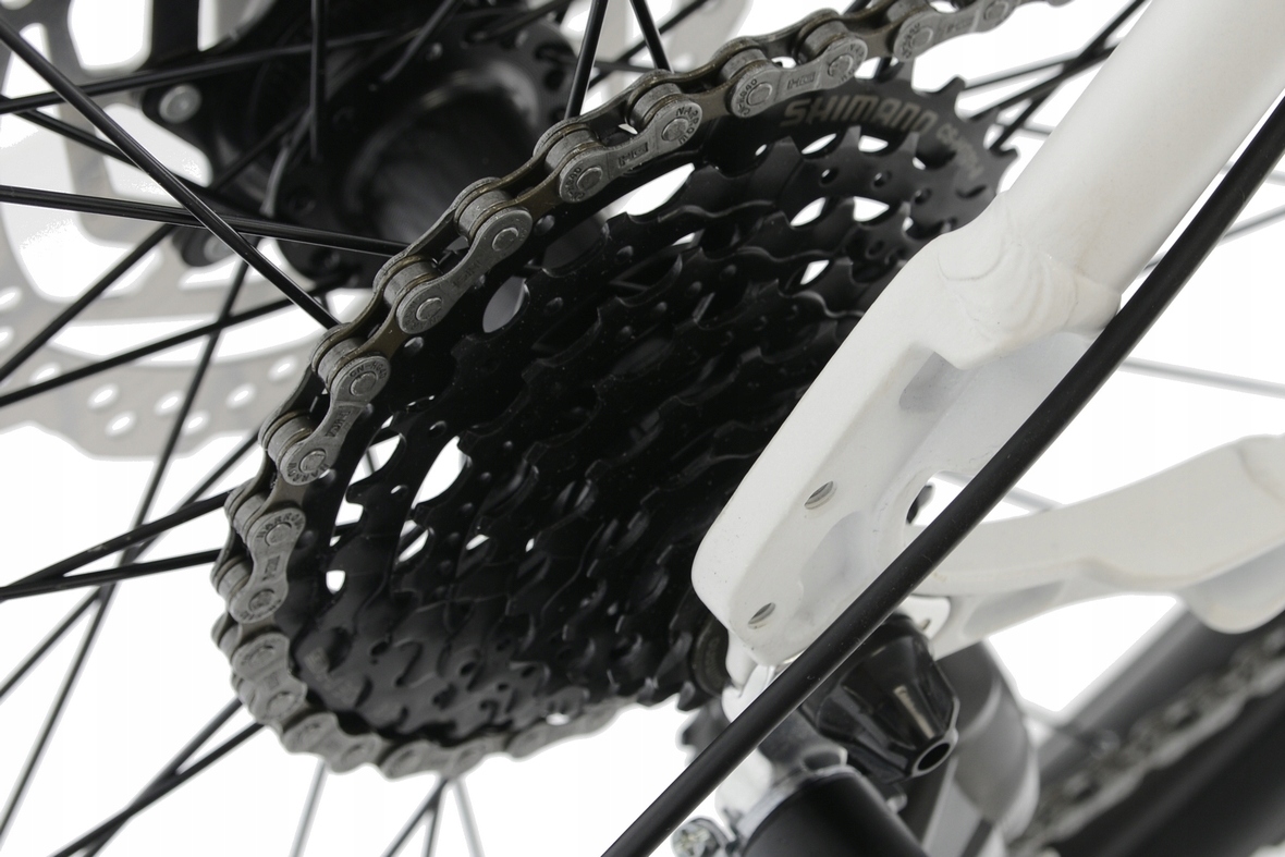 Rower MTB Kands 29 Comper altus hydr biały 17"r23 Rozmiar koła (