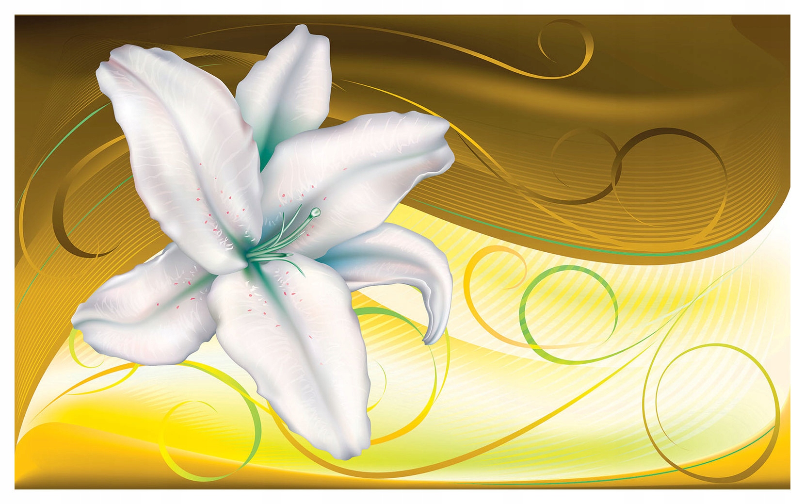 Fototapeta Lilie abstrakce barev jemnost květin 200x140 lepidlo