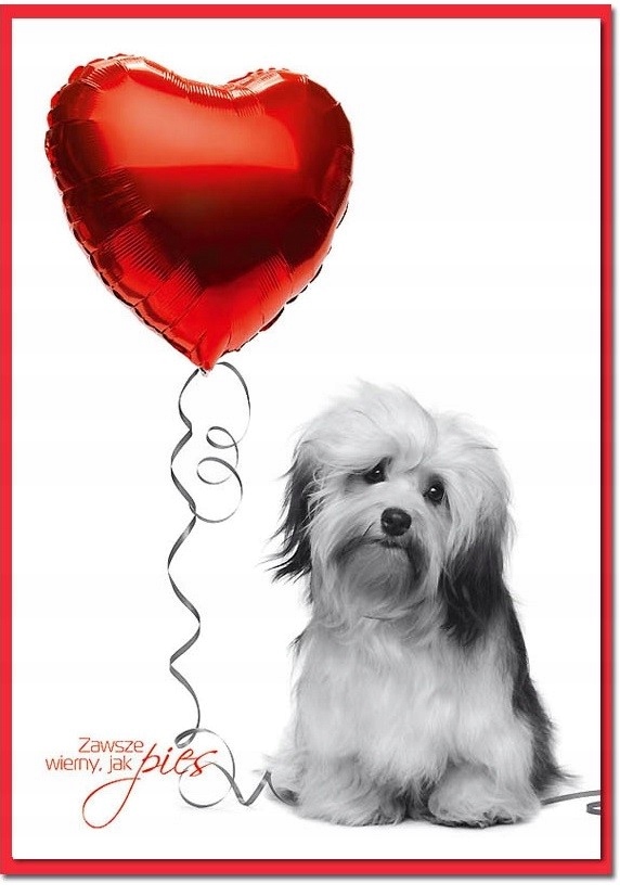 Karnet kolory koperta WALENTYNKI SERCE PIES