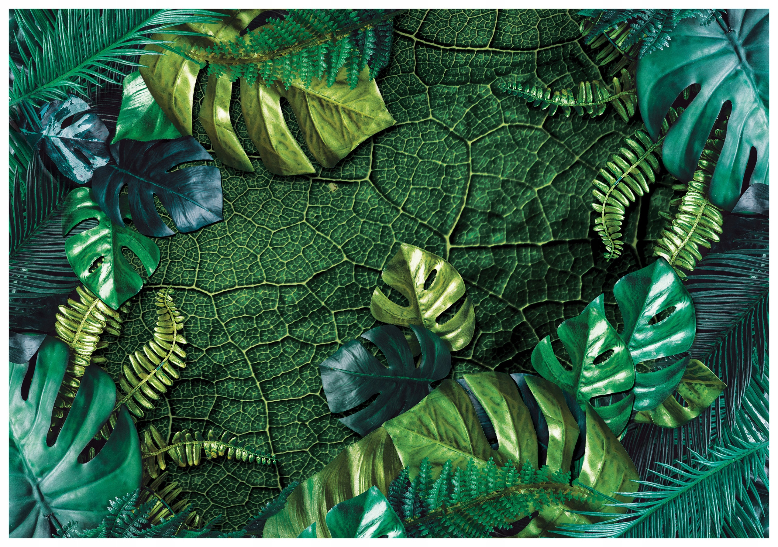 Fototapeta Tropické listy monstera kapradina Zelená zeď 520x318 lepidlo