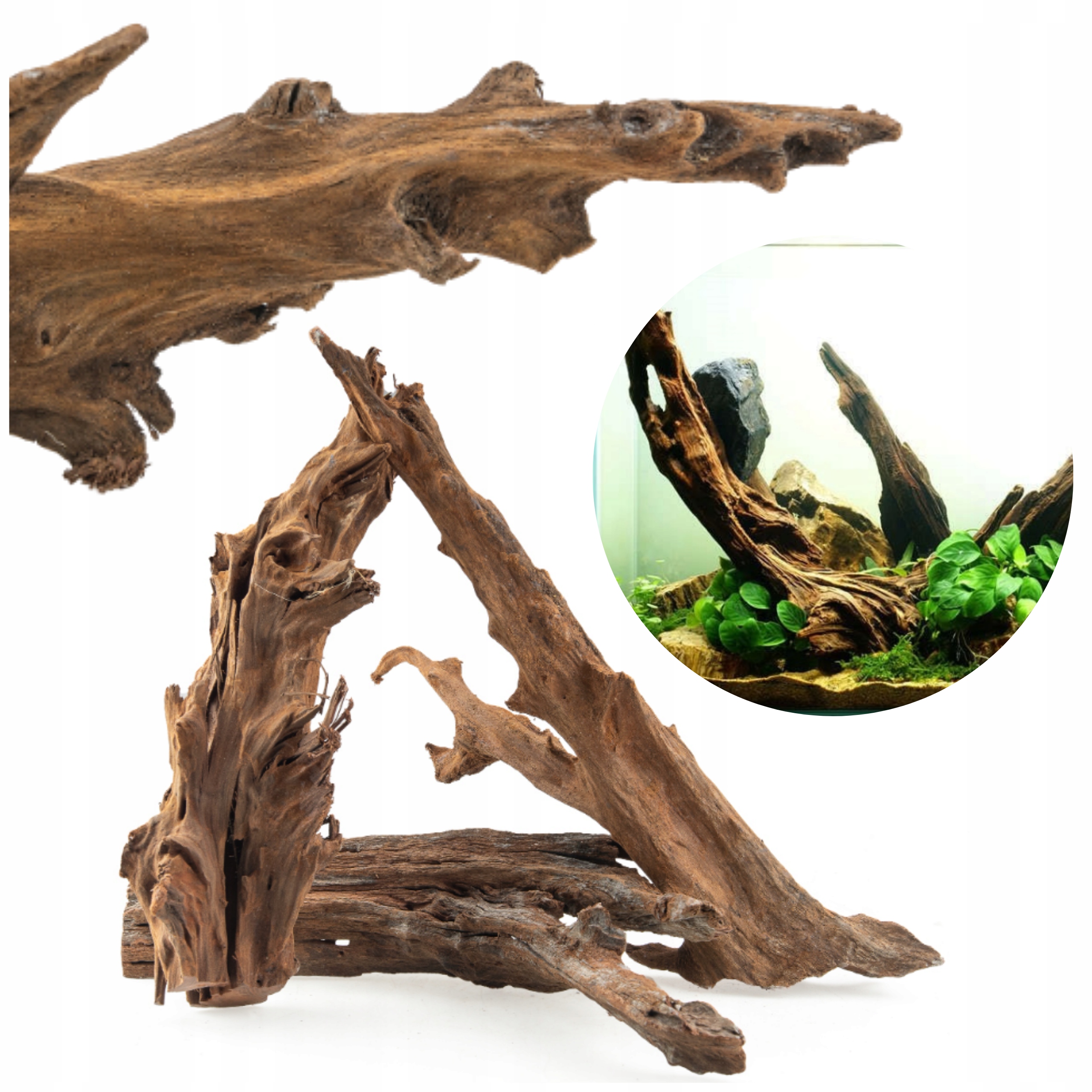 Levně Kořeny Do Akvária Mangrovce 10-30 CM, Sada 3 Ks, Špičatý MIX