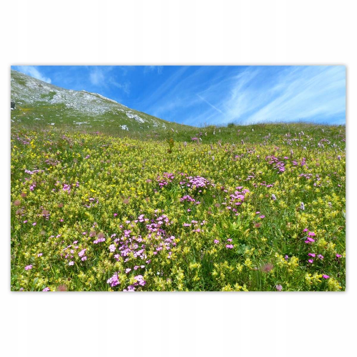 Plakáty 200x135 Alpská louka