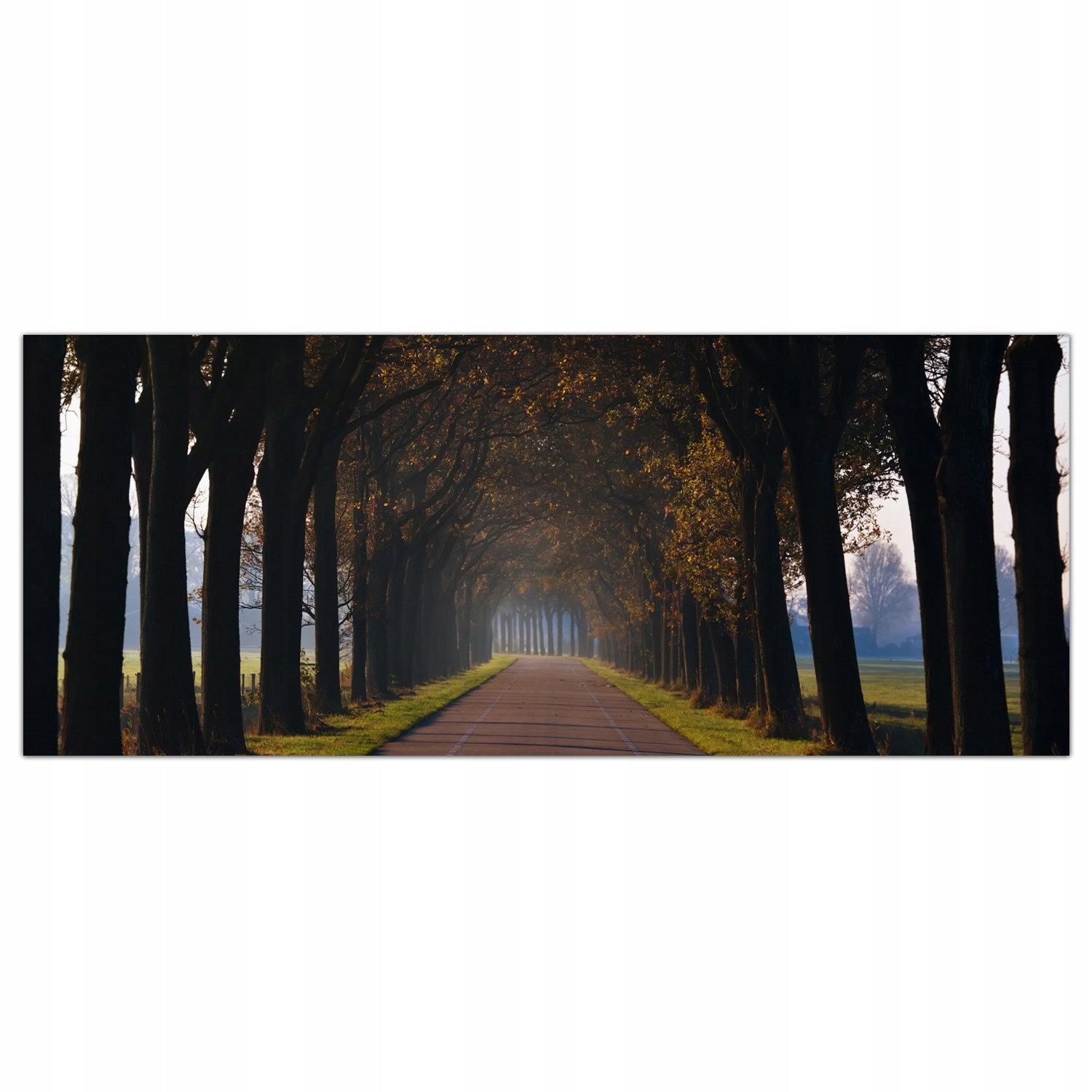 Tunel Cesta Stromy 125x50 Ochranný kuchyňský panel