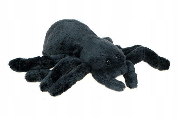 

Zoo: maskotka pająk Ptasznik 16cm 69600