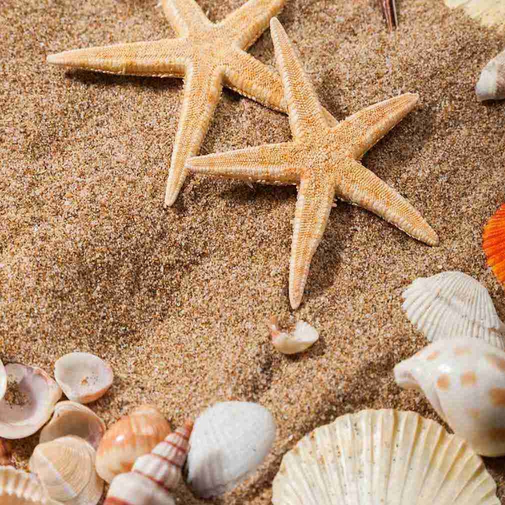 

Ogromny Ręcznik 3D Plażowy Duży Plaża X11