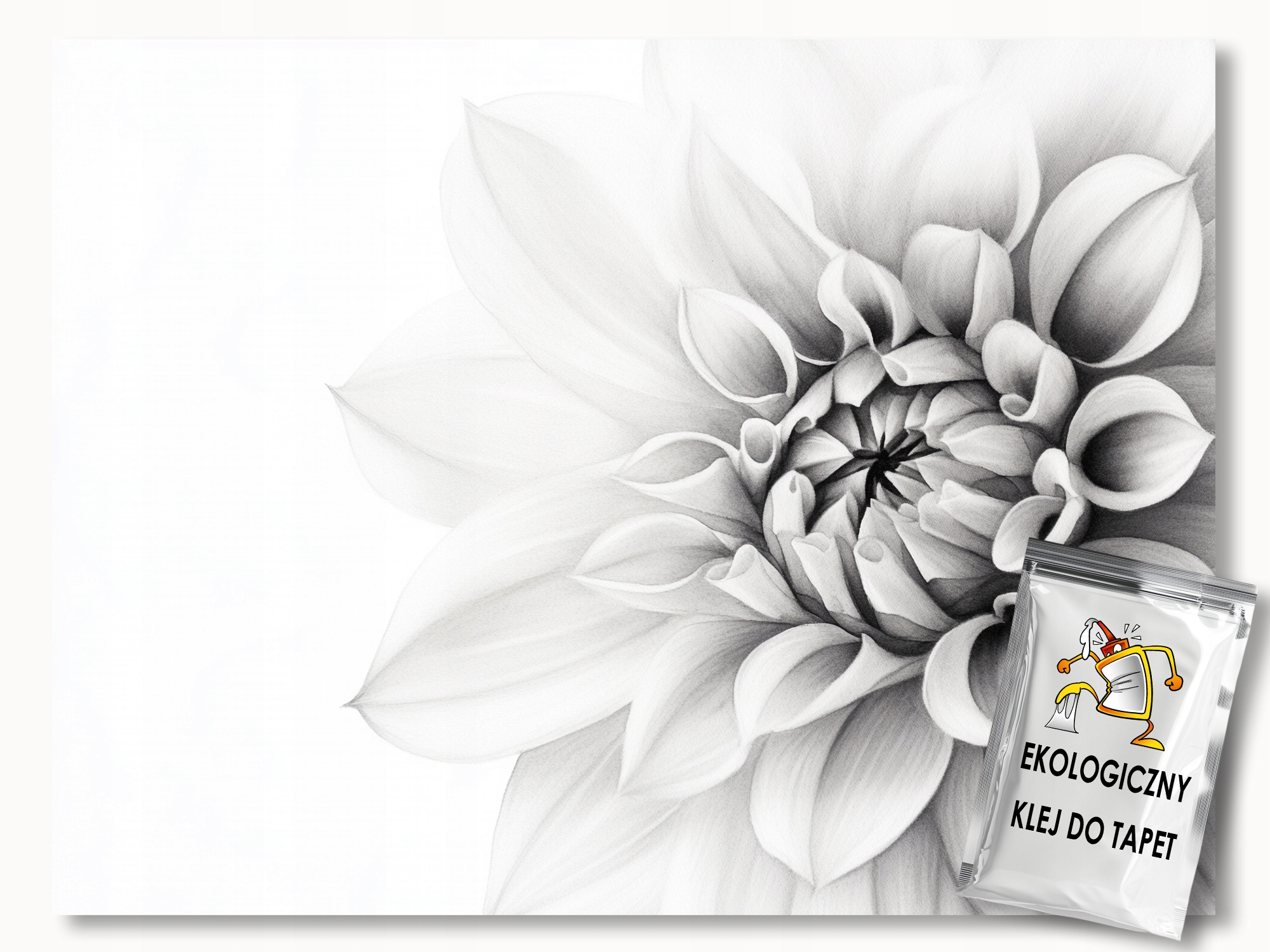 Fototapeta Flizelina Květ Bílá Jiřina Minimalismus Boho Makro 350x250 110g