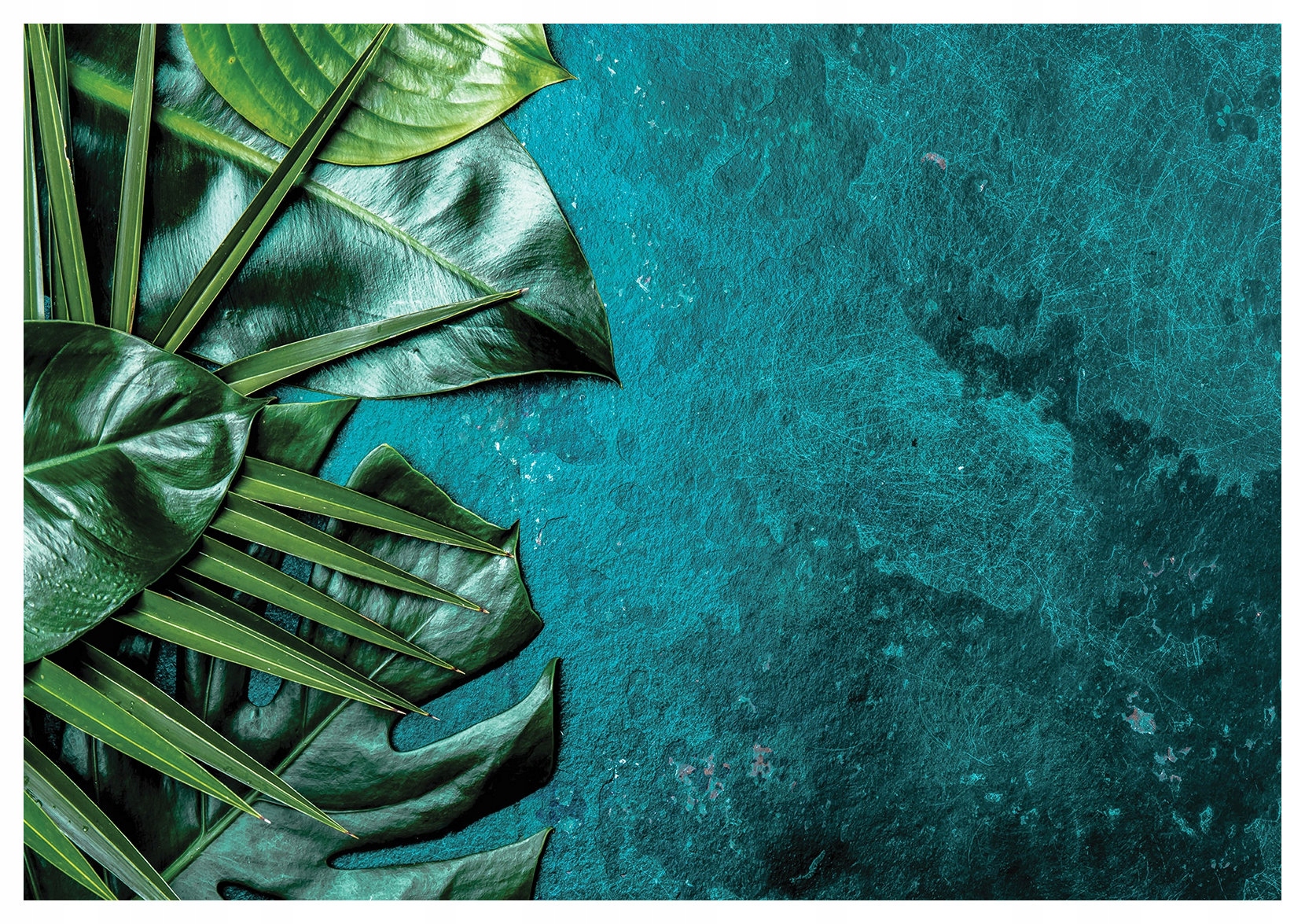 Vliesová fototapeta Tropické listy Zeleň do interiéru 300x210 lepidlo