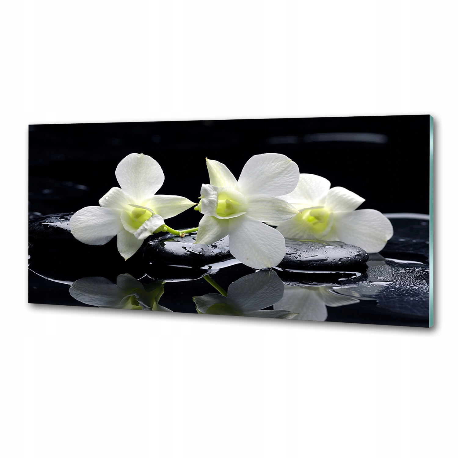 Panel medzi nábytkom v kuchyni Orchidea 125x50 Lepidlo