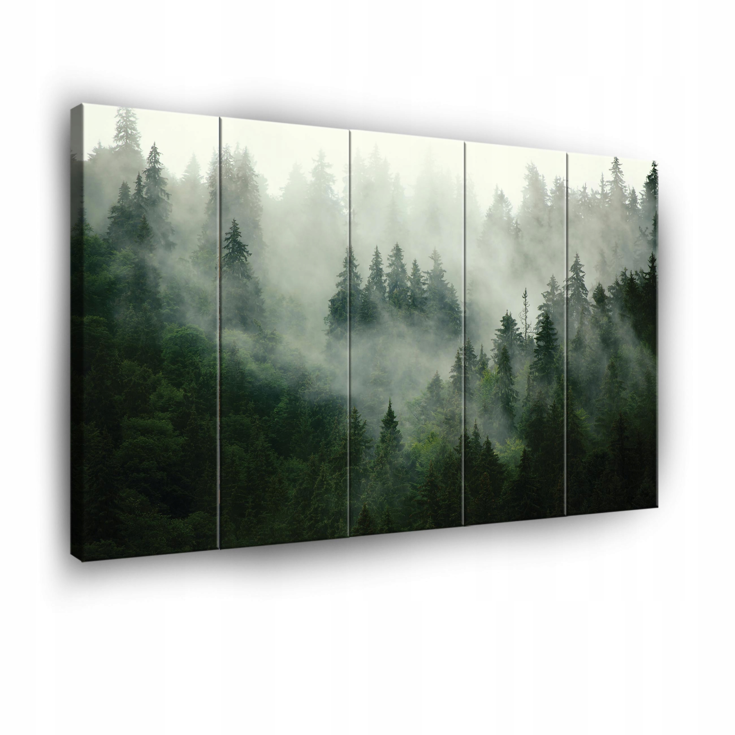 Obraz Les V Hmle Na Plátne 5-DIELNA Stena Spálňa Obývacia 150x100