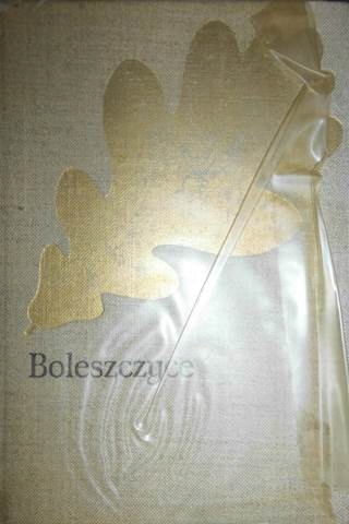Boleszczyce - J.I. Karaszewski