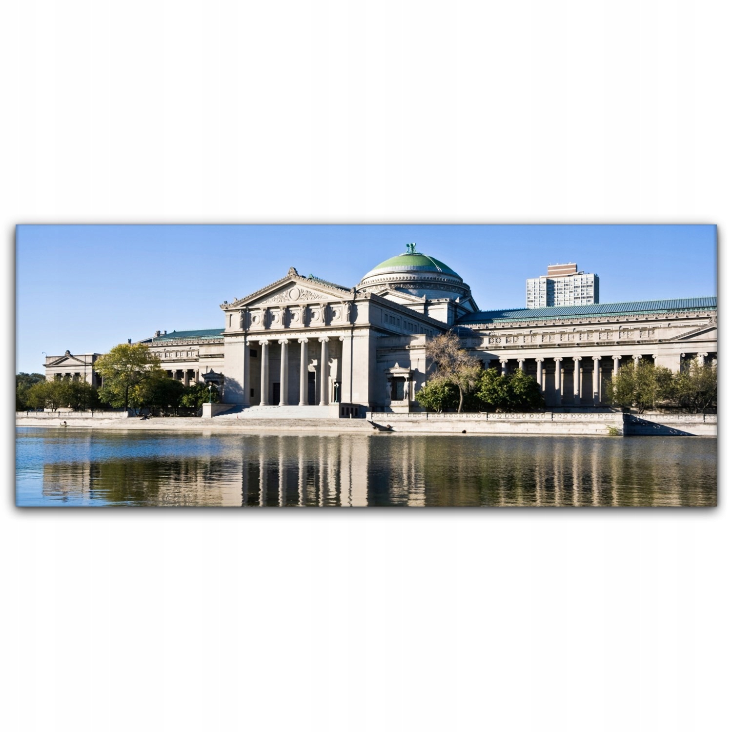 

foto-obraz na płótnie 125x50 Muzeum Chicago Nauka