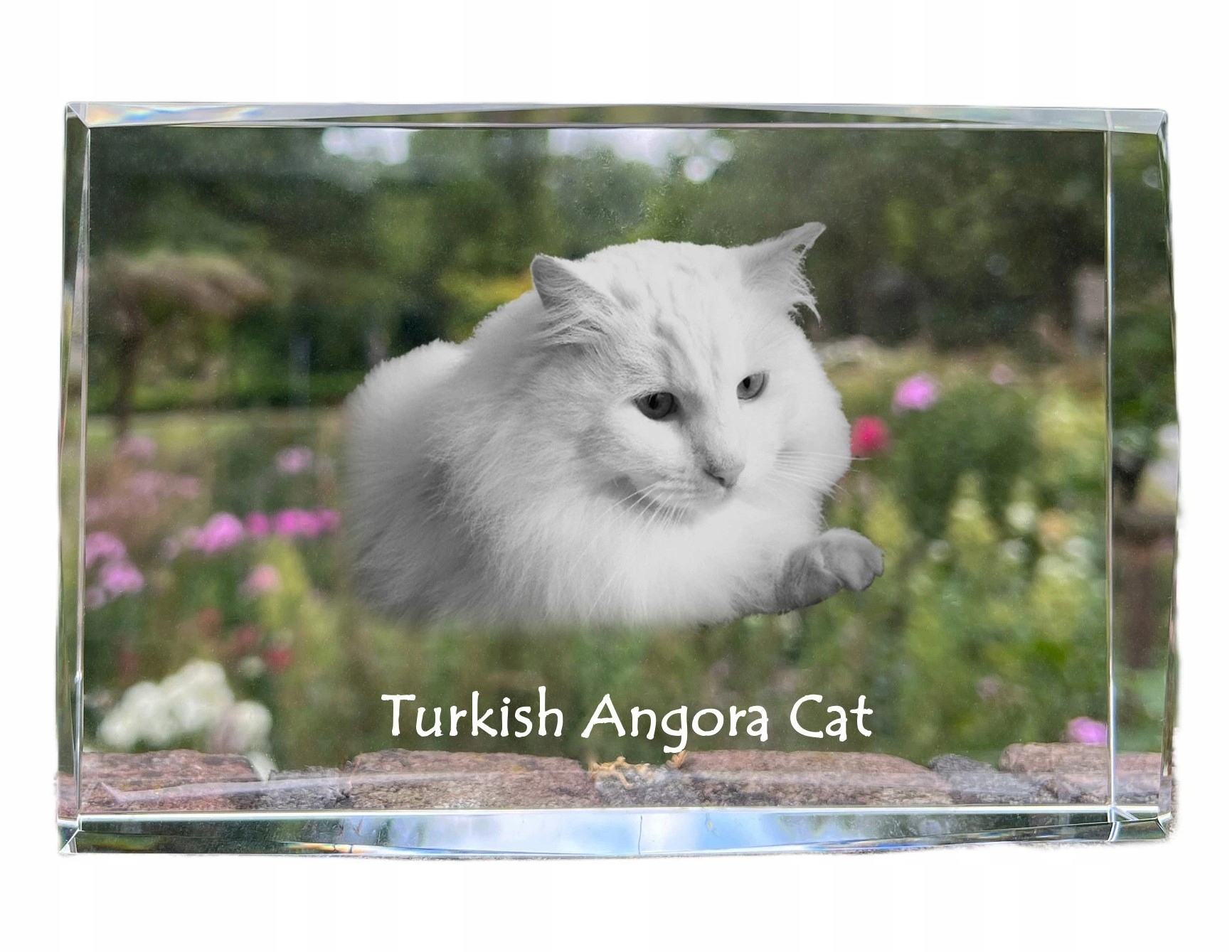 Turecká angora fotografia v kryštáli, suvenír, trofej, poďakovanie