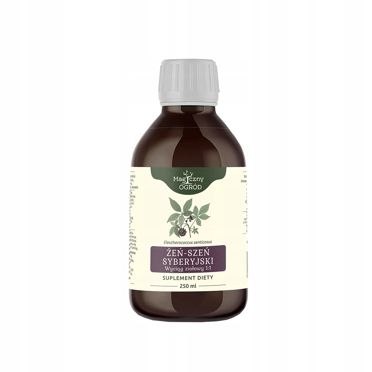 Żeń-szeń syberyjski Eleutherococcus wyciąg ziołowy 250 ml Nanga
