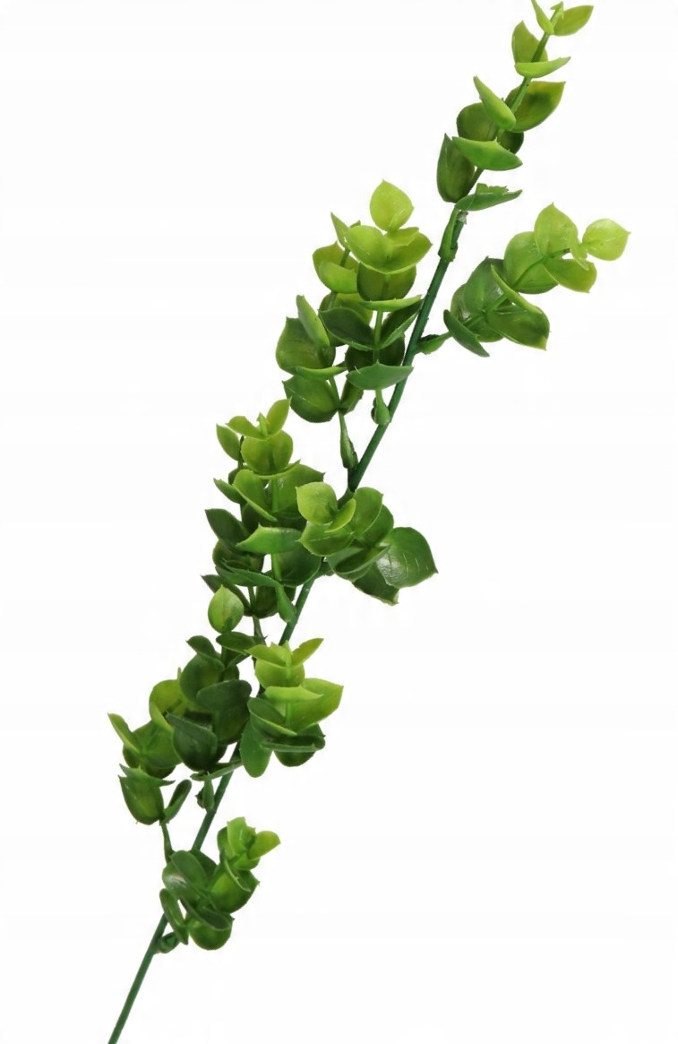 

Gałązka Zielona Gałązki Dekoracyjne 56 CM 1 Szt