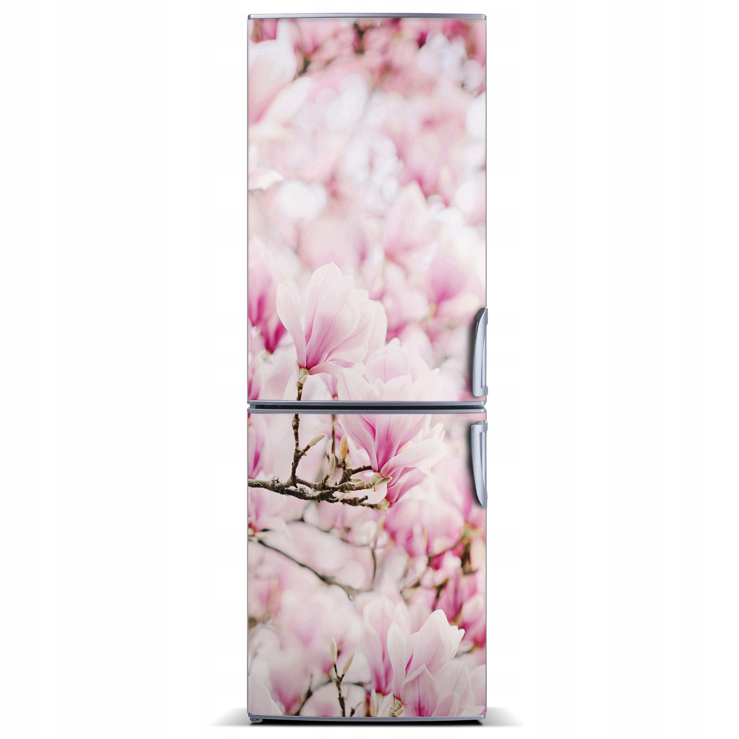 

Naklejka Magnes Magnes Kwiaty magnolii 60x180