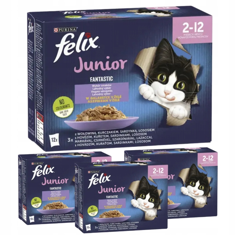 Karma Dla Kota Felix Fantastic Junior MIX Smaków Mięso, Ryby 85g x 48