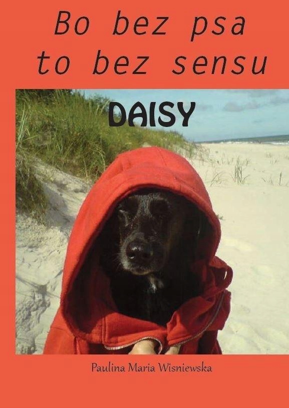 Daisy. Bo bez psa to bez sensu