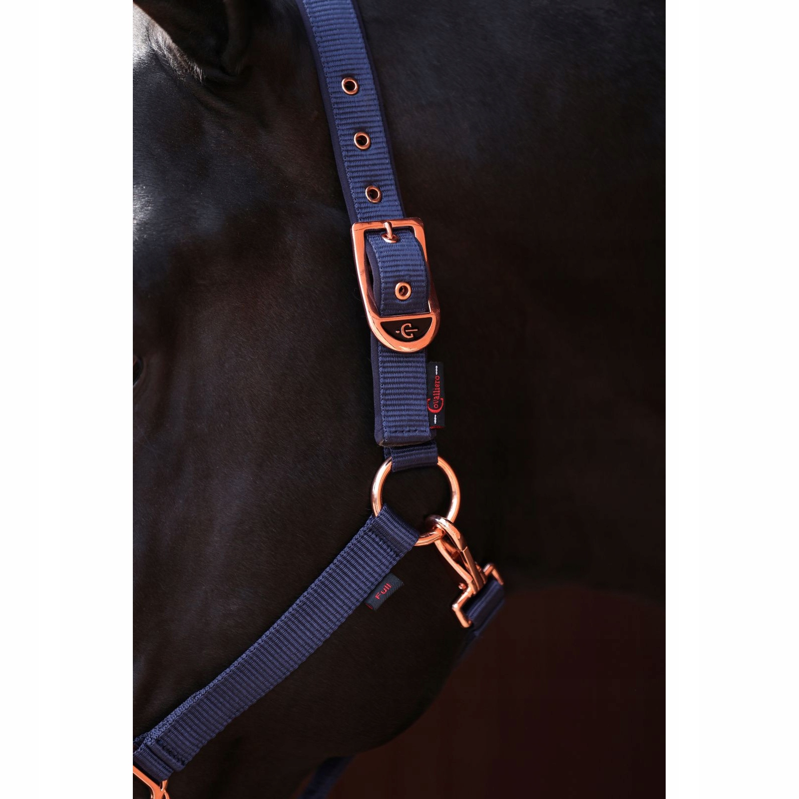 Pony 1 UZDA KANTAR DLA KONIA KONI NYLONOWY MOCNY Z KARABIŃCZYKIEM Marka Equus