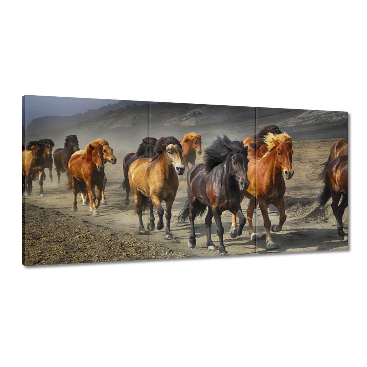 Obrazy 180x90 Kôň Kone Jazdenie