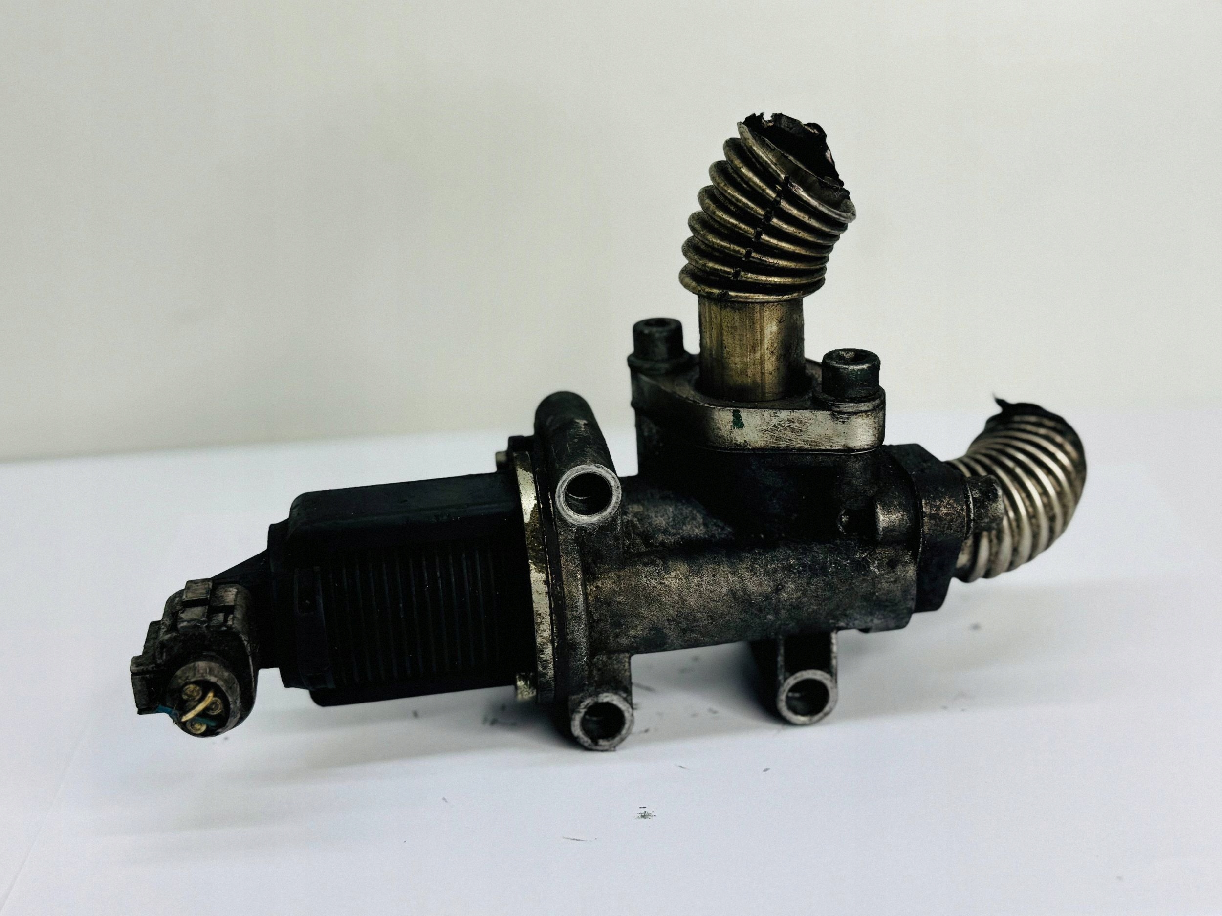 AGR-Ventil 937a2000 1.9 JTD 8V Alfa Romeo 156 00-10 50024005