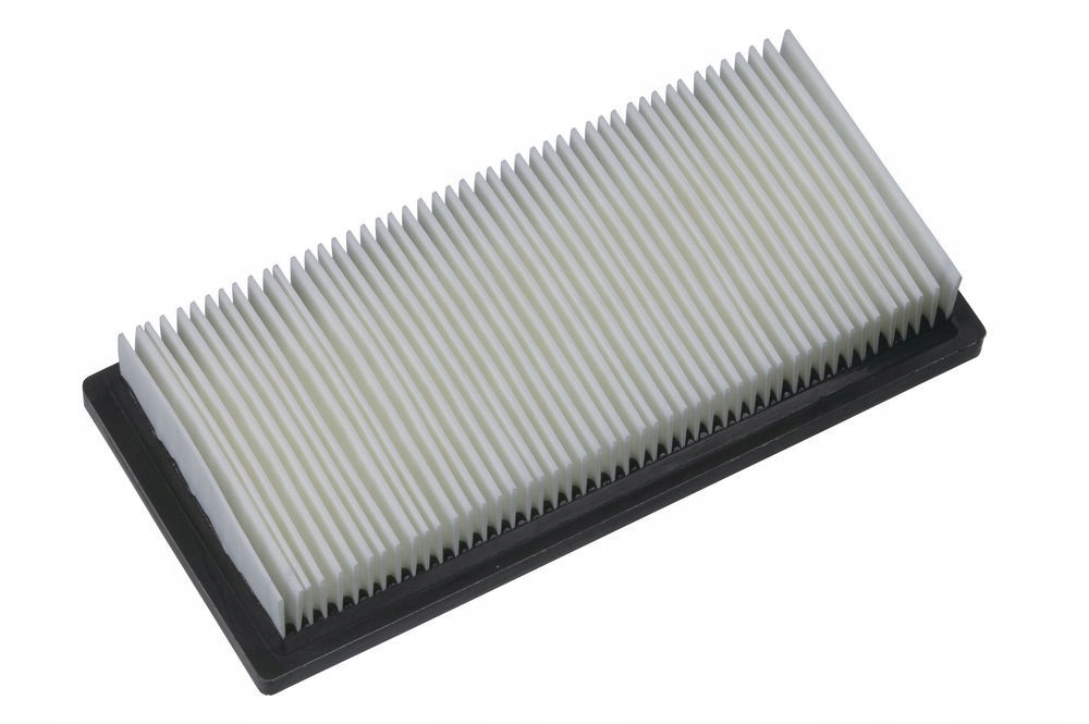 Wkład filtra (AS300EMAC)