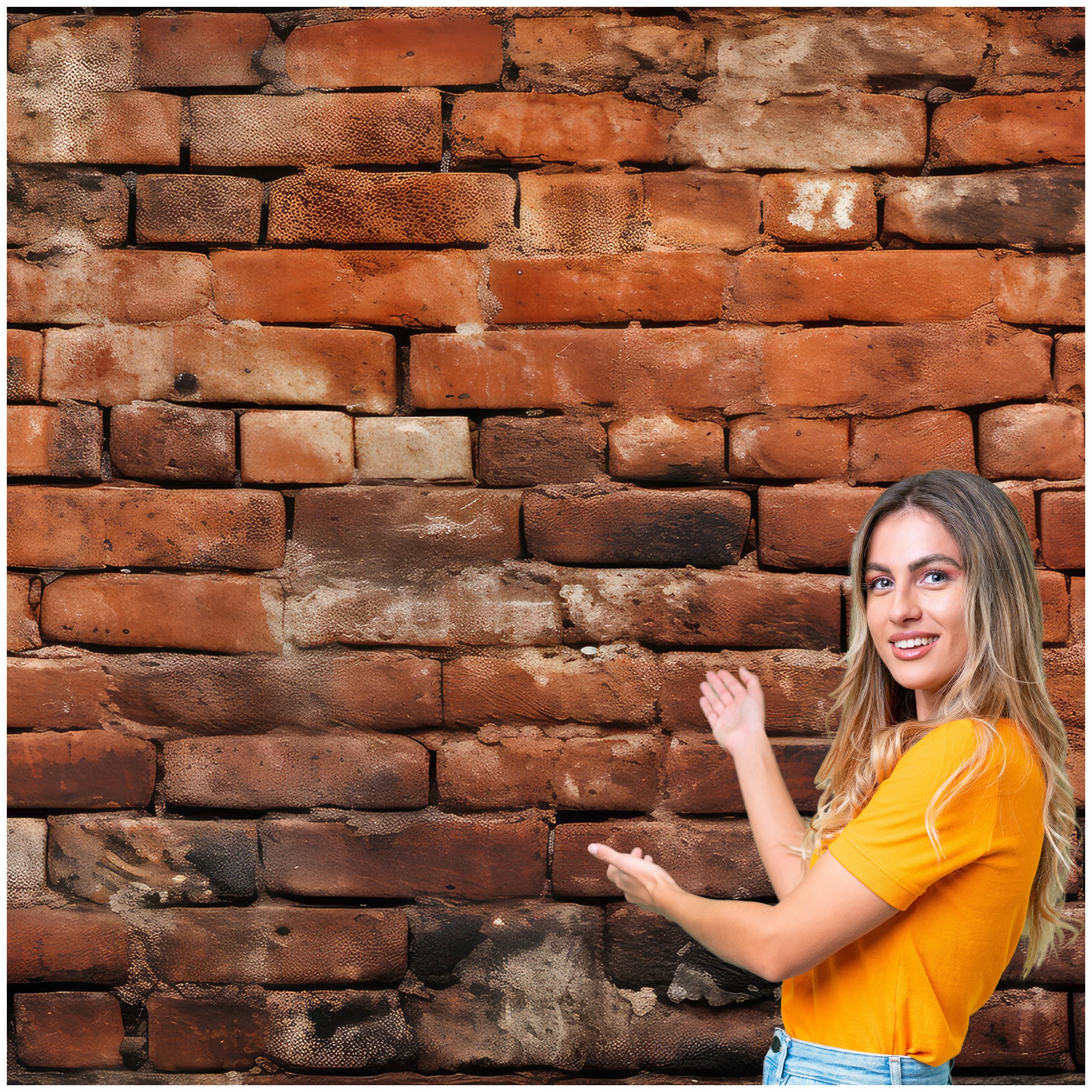 Fototapeta 3D Pozadí Textura Cihlová zeď 196x260 TLA25F