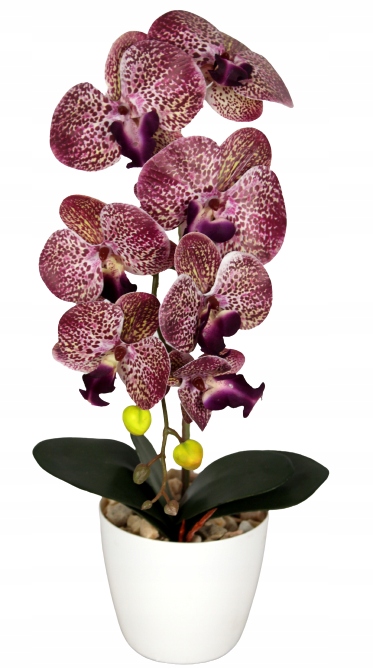 

Storczyk Sztuczny Silikonowy Kwiat Max Flower