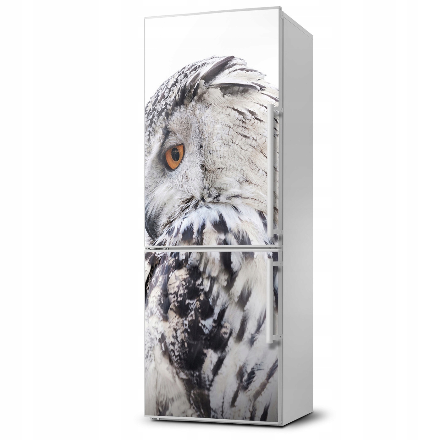 

Mata magnetyczna na lodówkę Biała sowa 60x180