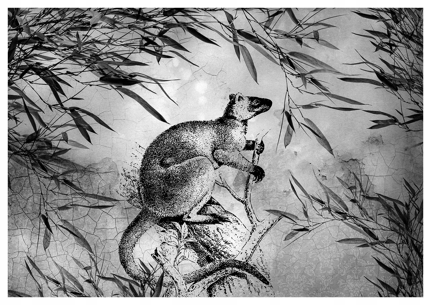 Fototapeta Kangur v bambusovém lese retro vinylová 416x254 lepidlo