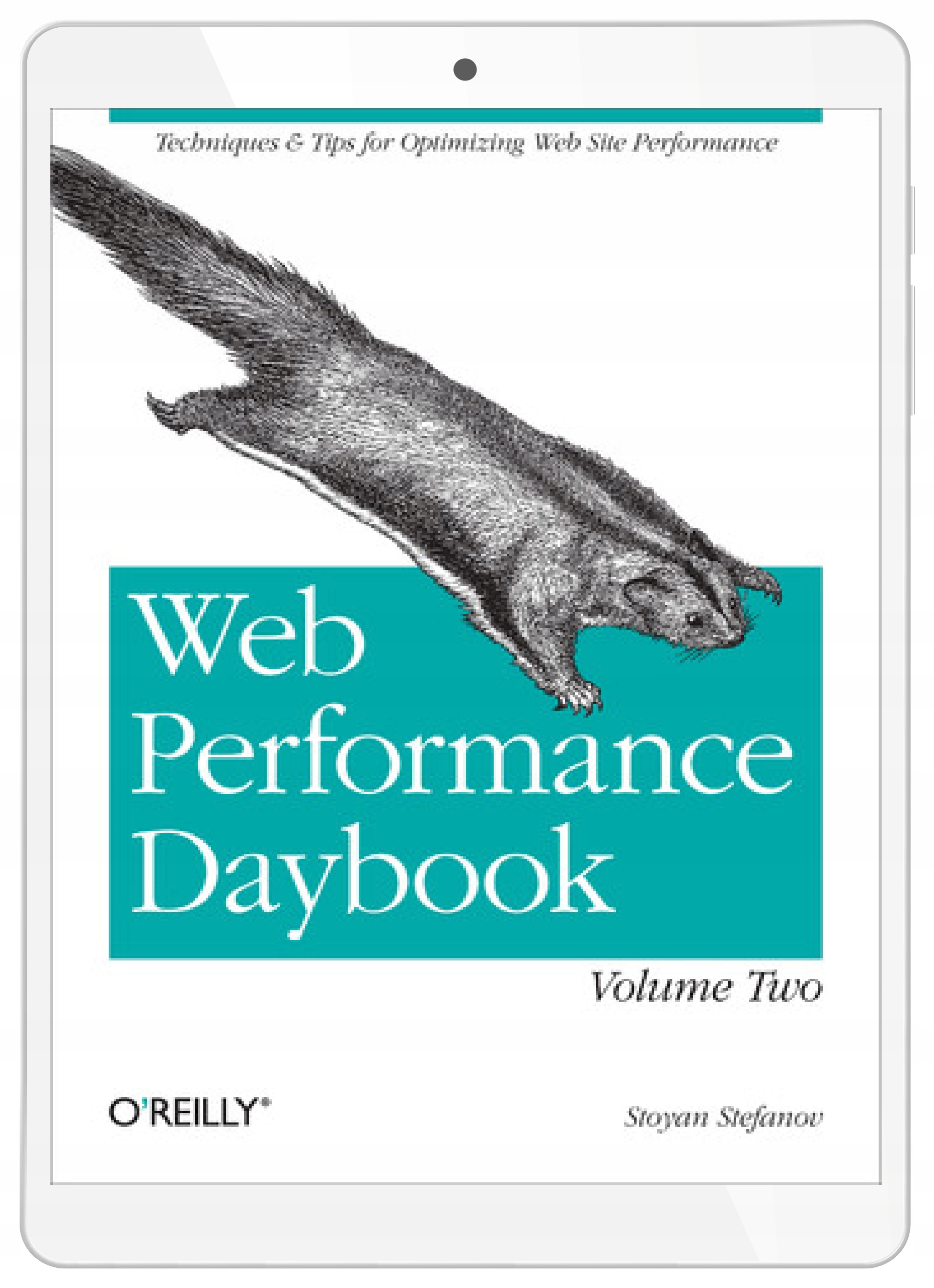 Web Performance Daybook Volume 2