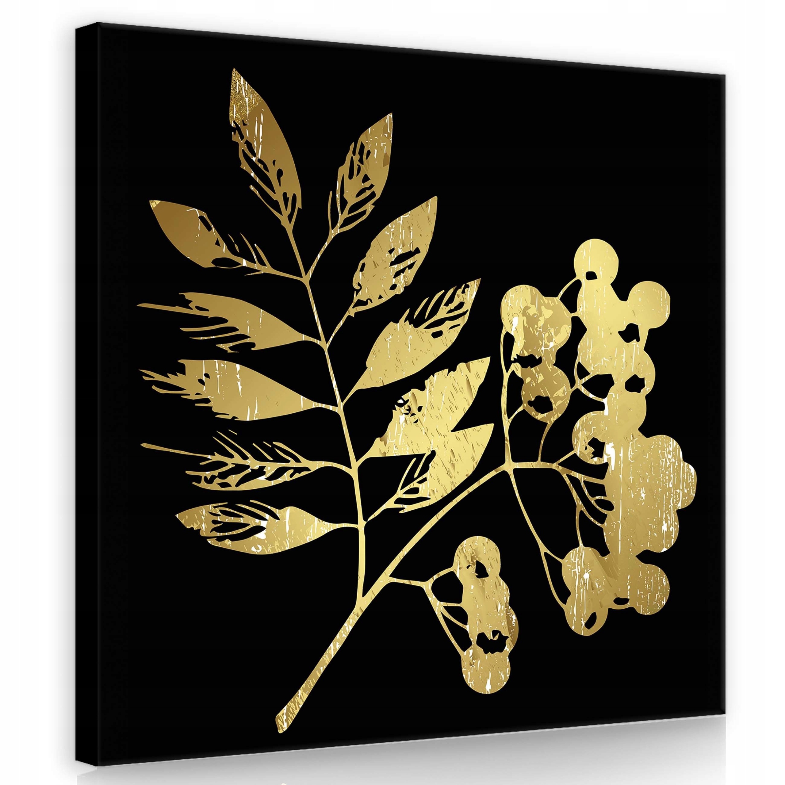 Obraz 80x80 Zlatá větvička černé pozadí botanika elegance minimalismus metalíza