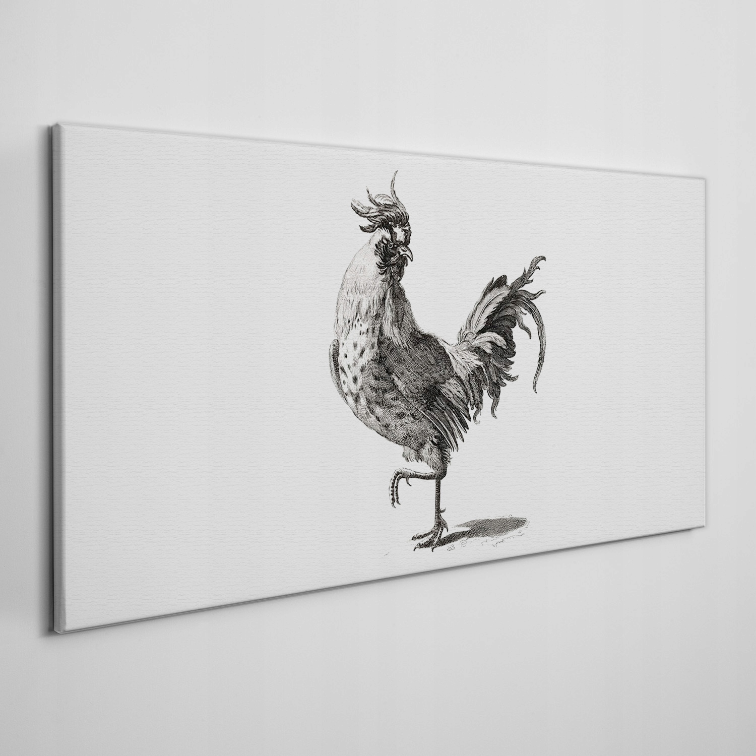 

Obraz na płótnie Zwierzę ptak kurczak 100x50 cm