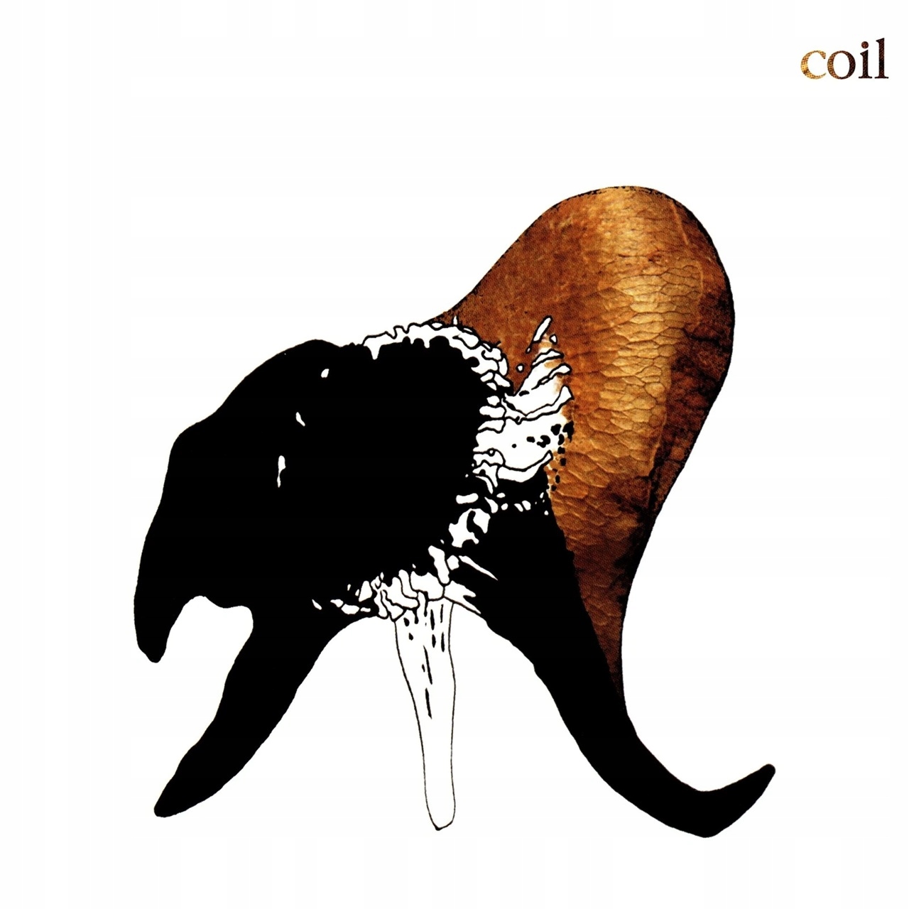 CD Coil Black Antlers