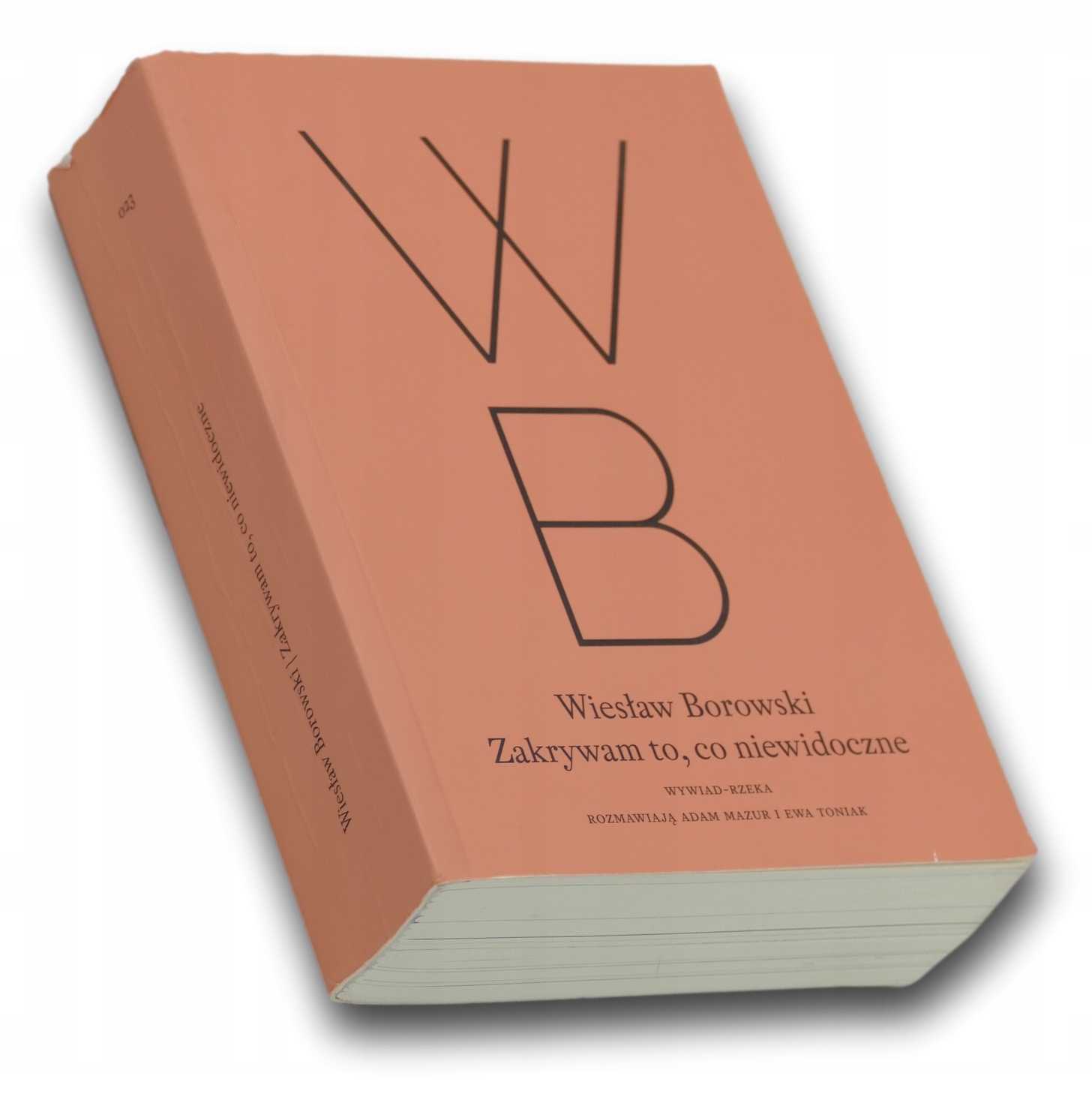 Zakrywam to, co niewidoczne - Wiesław Borowski