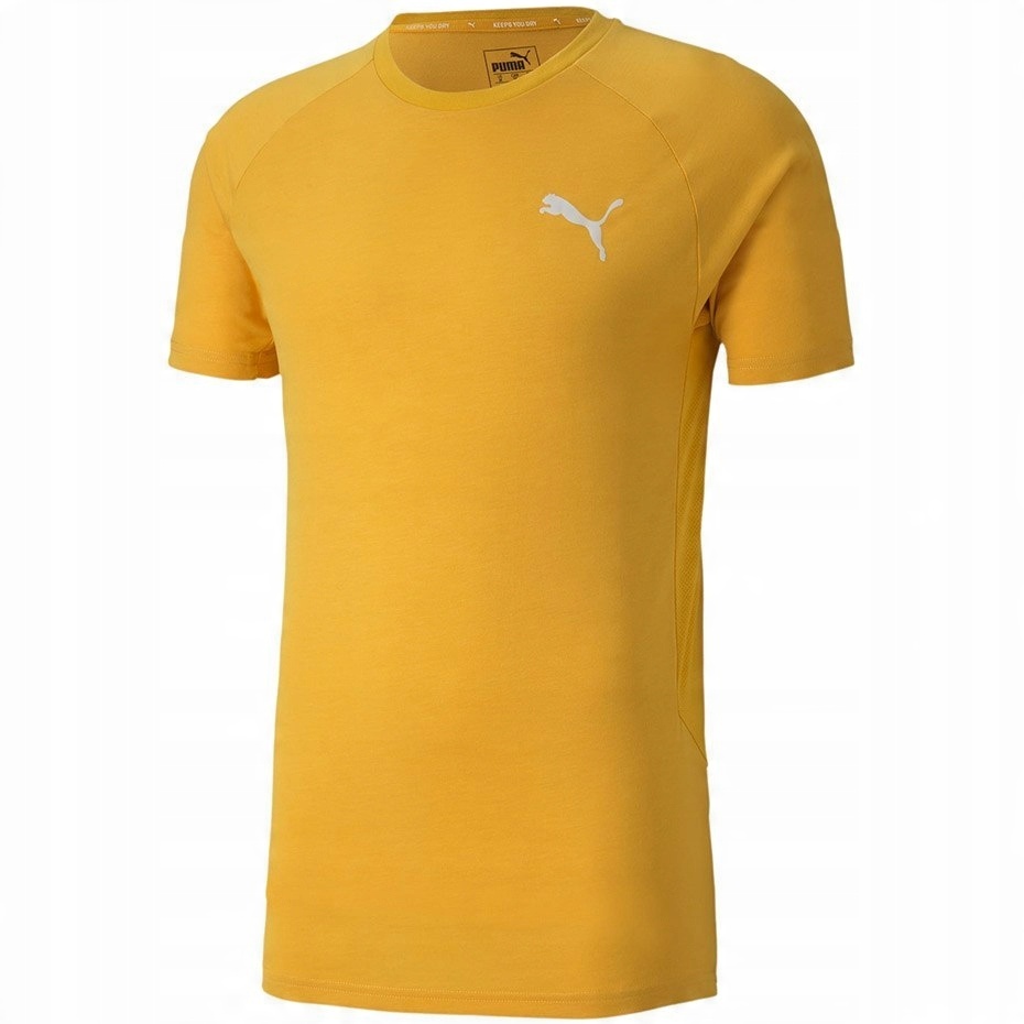 

Koszulka męska Puma Evostripe Lite Tee żółta M