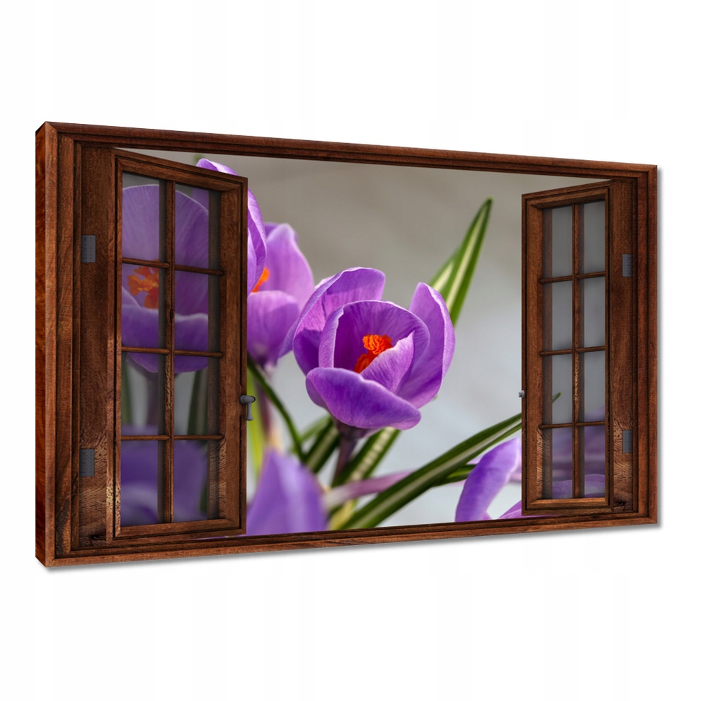 

Obrazy 120x80 Krokus Kwiaty