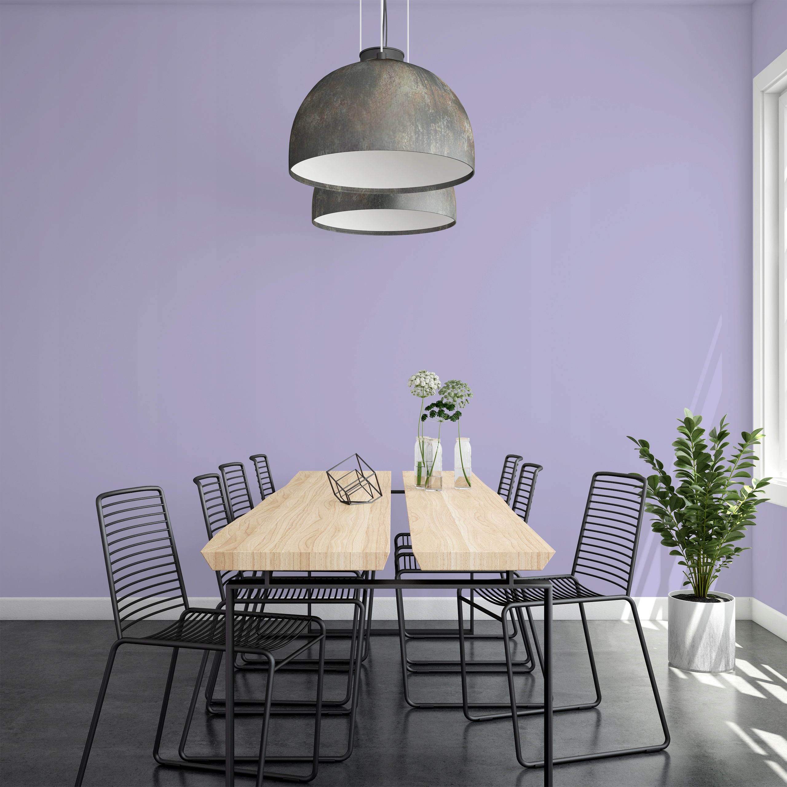 FARBA LATEKSOWA FIOLETOWA JASNA KOLOR JASNY FIOLET 5L MATOWA Marka inna